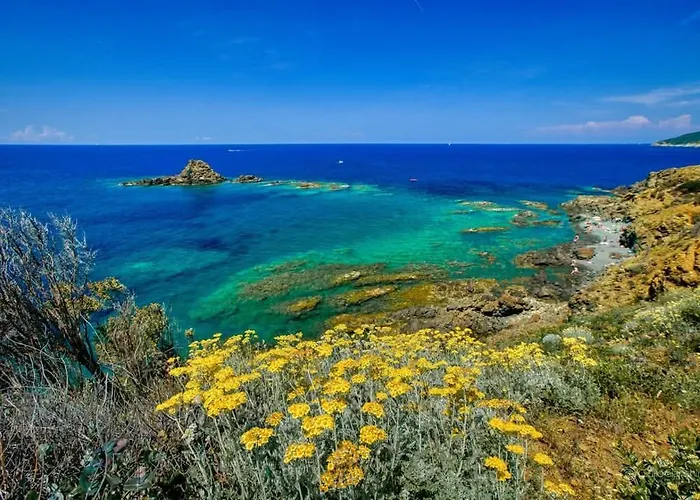 Sunny Courtyard Apartament *