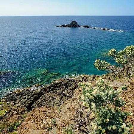 Sunny Courtyard Lägenhet