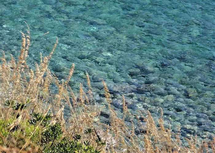 Sunny Courtyard بيومبينوا