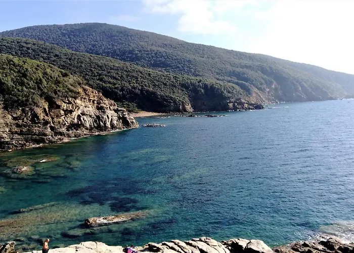 Sunny Courtyard شقة *