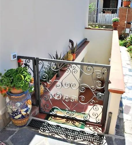 Sunny Courtyard شقة